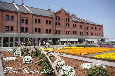 Flower Garden 2014