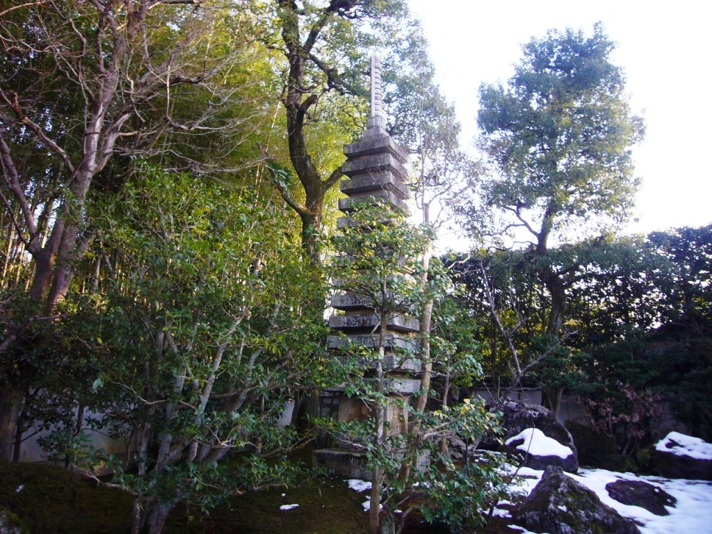 P1170395-.jpg