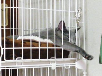 2012年12月22日_P1110101.jpg