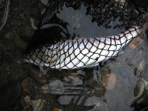 2012.03.31 004.jpg