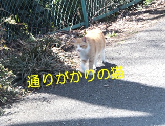 20121004_10.jpg