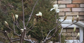 IMG_3197-18.jpg