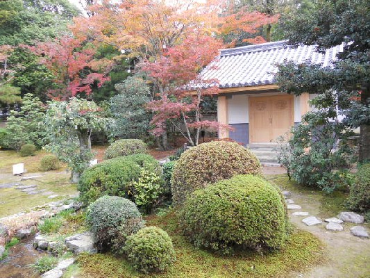 2015-11 随心院・奥書院庭園の紅葉.jpg