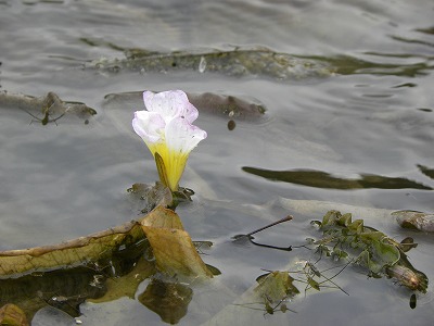 DSCN9913.jpg