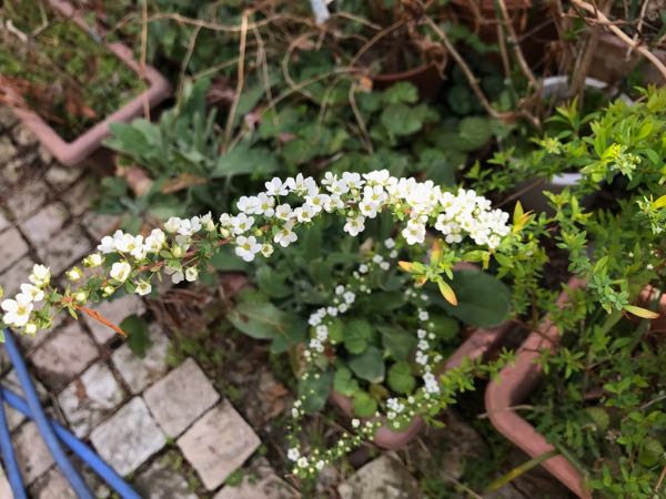 rblog-20180324163149-09.jpg