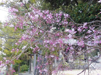 DSCN2169.jpg