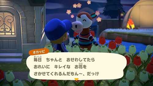 馬と馬鹿と麒麟と鹿 あつ森 ダビつく５で一生遊ぶ 楽天ブログ