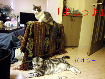 mumu4.jpg