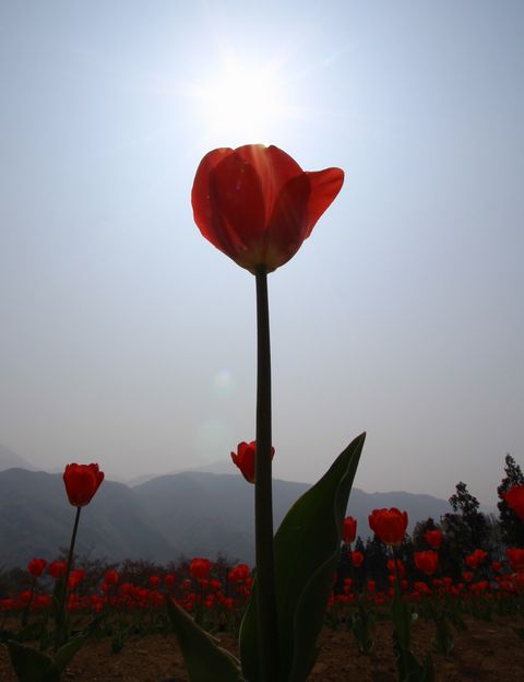 IMG_7658.JPG