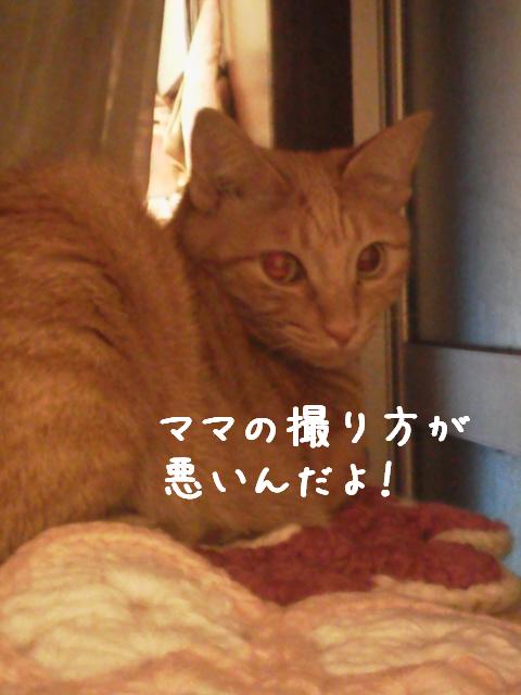 ママの撮り方が！