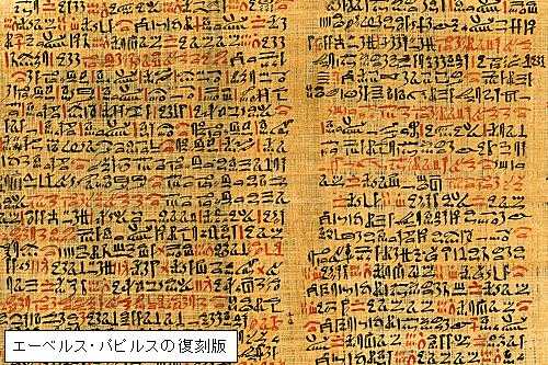 エドウィン・スミス・パピルス 耳(ミミ)とチャッピの布団 楽天ブログ