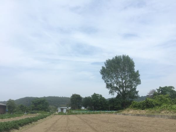 rblog-20160606152813-03.jpg