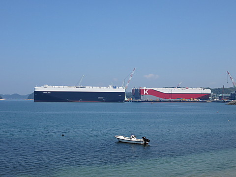 IMG_4446.jpg
