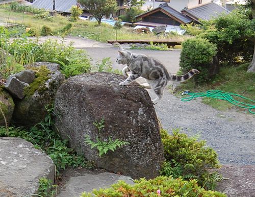 DSC_0443.JPG