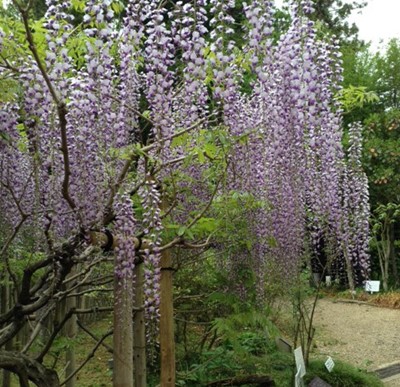 201505__ 1.JPG