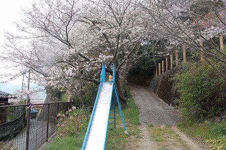 s-DSC_0465.jpg