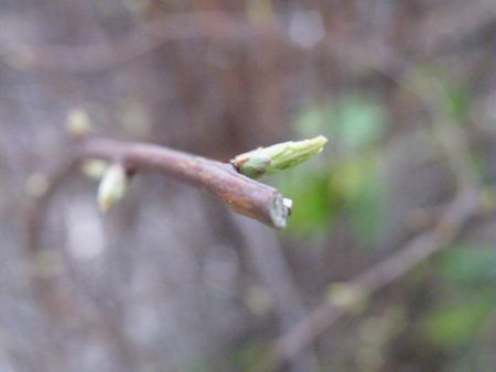 DSCF8454450.jpg