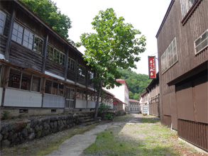 夏油20.jpg