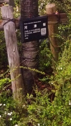 rblog-20150316191429-00.jpg