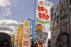6のぼり.JPG
