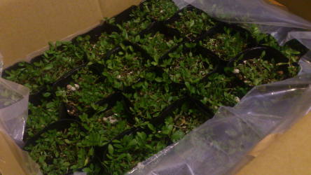 2012-10-23 20:49:04