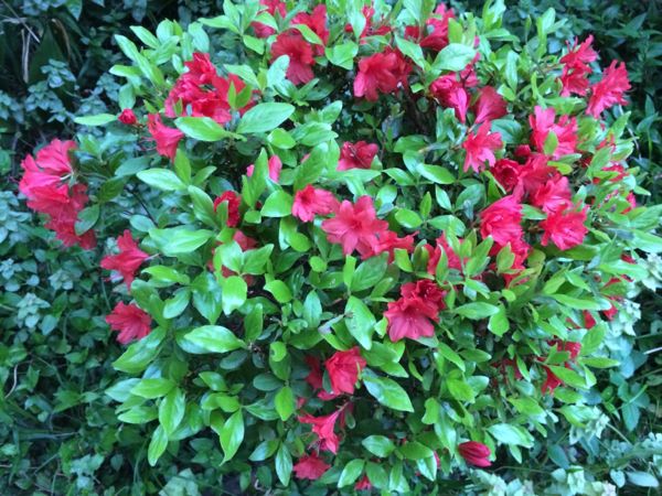 rblog-20140419222437-03.jpg
