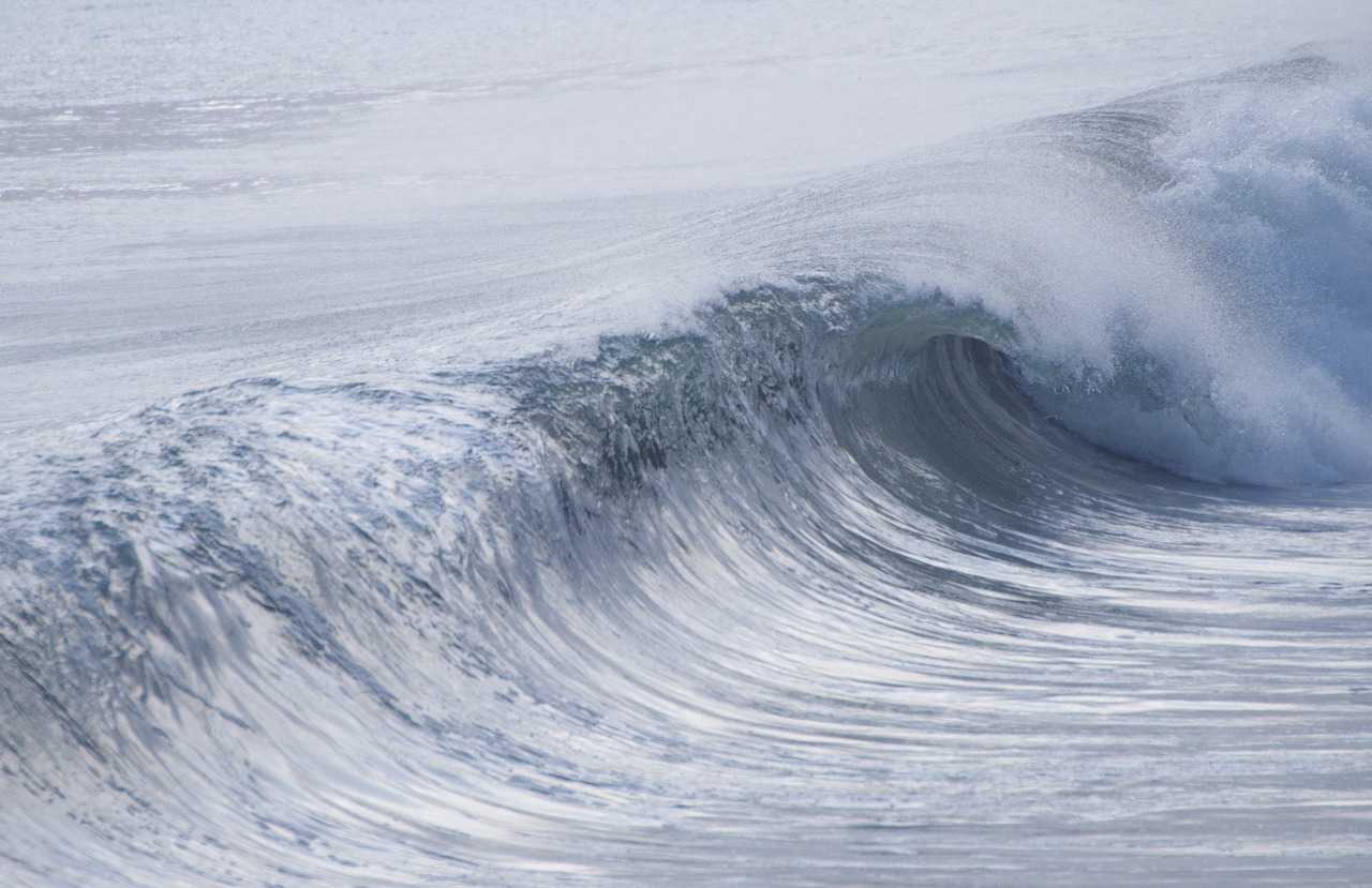 西の海上に消えたウの大群の結末を目撃することに。 | 雨釣の釣り日記 - 楽天ブログ