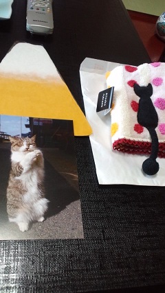 ねこ