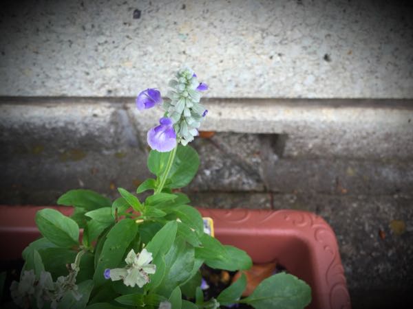rblog-20160625182717-06.jpg