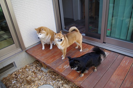 3ショット.jpg