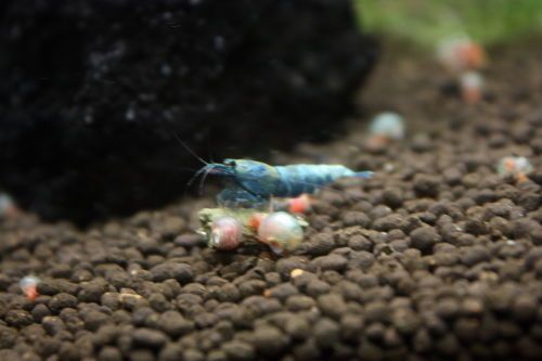 2015052505.JPG