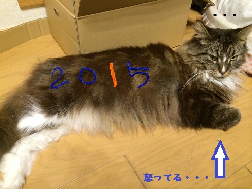 ナイル