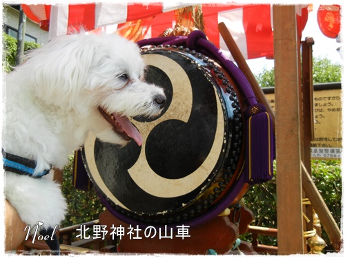 近くの神社の秋祭り