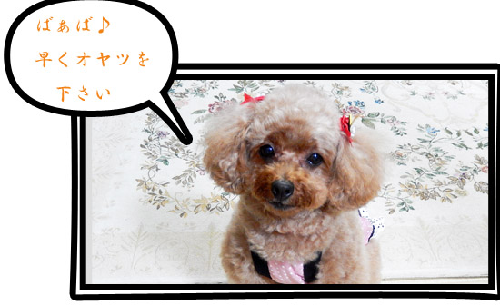 こころ２６