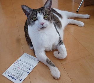 P1300301-ass.jpg