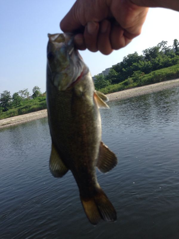 rblog-20140804001239-01.jpg