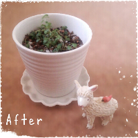 rblog-20130425003726-01.png