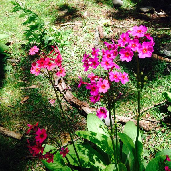 rblog-20140626111918-01.jpg
