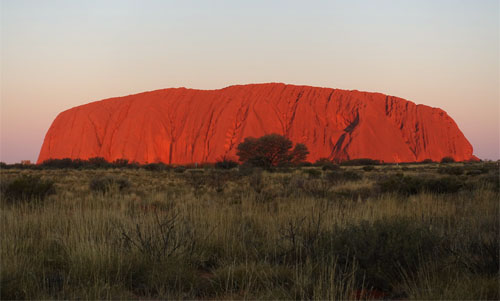 OZ791.jpg