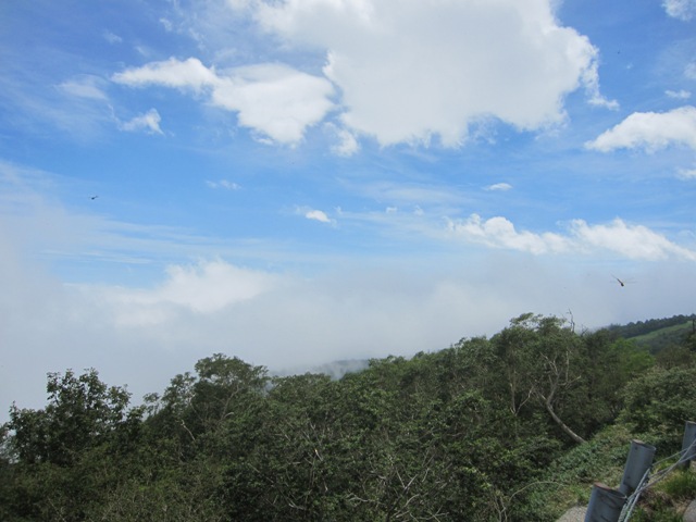 20140815空２.jpg