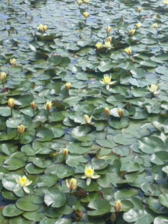 120603_144019.jpg