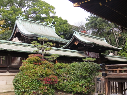 弓弦羽神社５拝殿裏.JPG