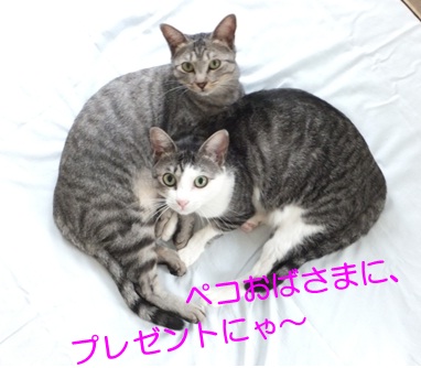 20120924_5.jpg