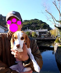 20160104ペリーロード