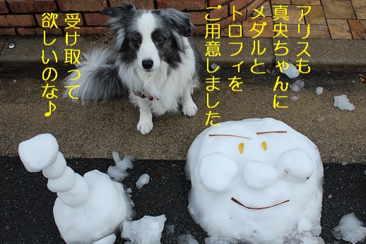 アリスメダル