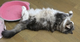 5DA_7067-17.jpg