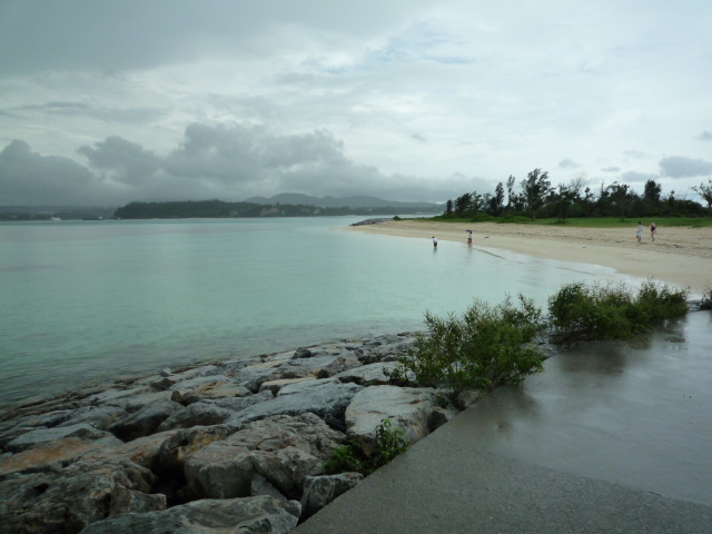 P1010467.JPG