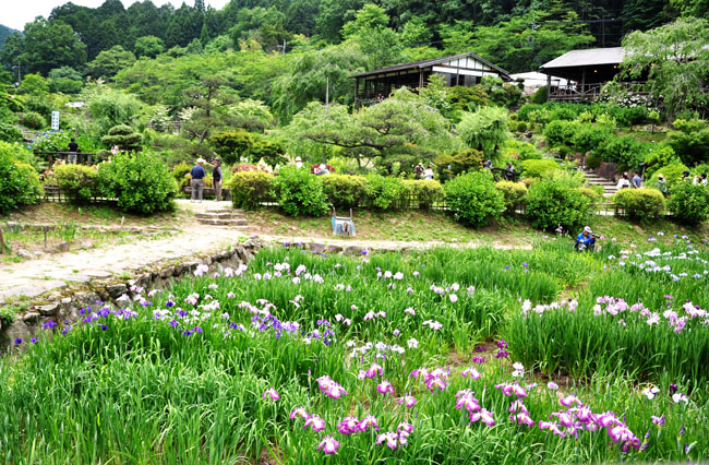 花２