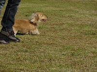 20121016150910[1].jpg