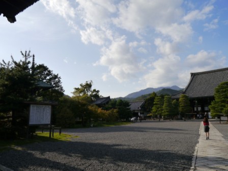 P1060024-.jpg